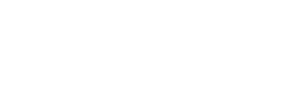Logo of Safe Fleet