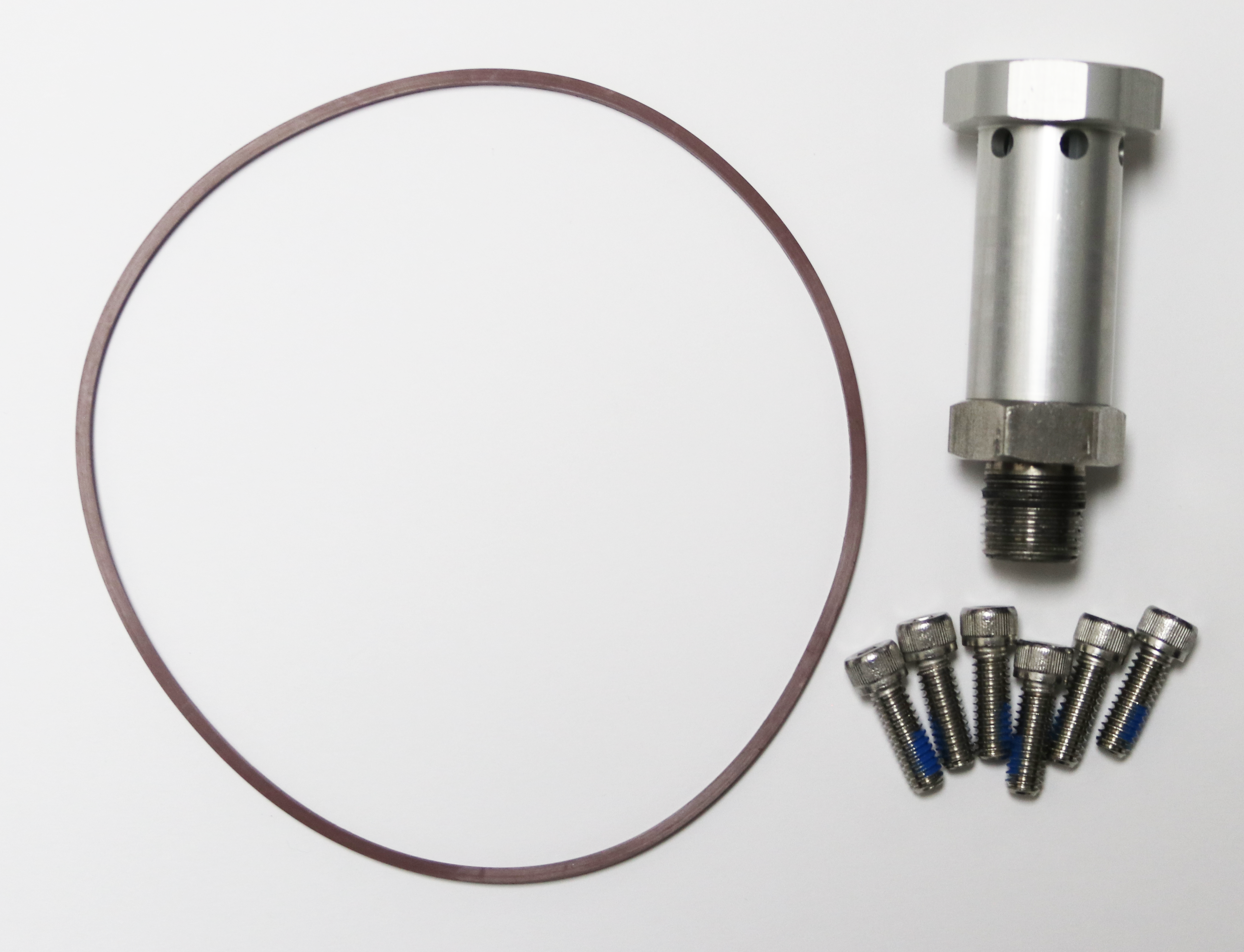 Check valve assembly kit with hex cap for return fuel stock image