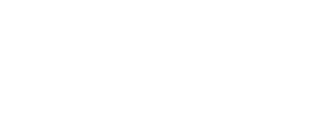 Safe Fleet logo white